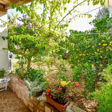 House Panula * Mali Iž