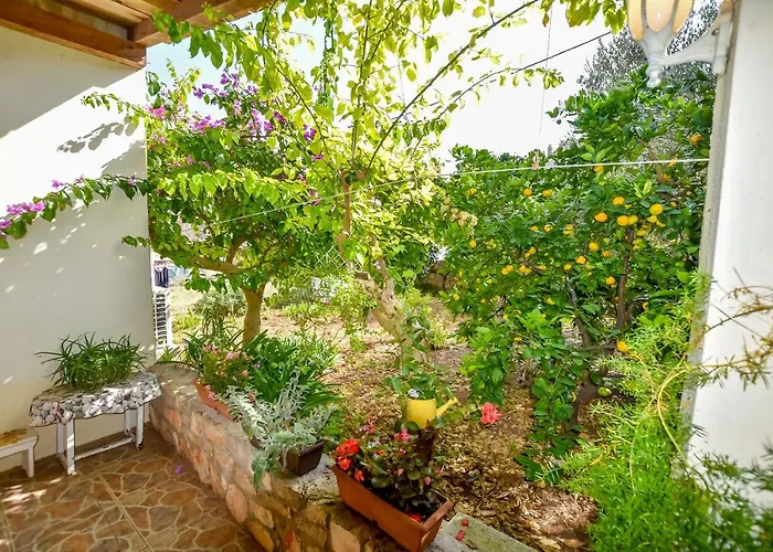 House Panula * Mali Iž