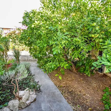 House Panula 度假居 *